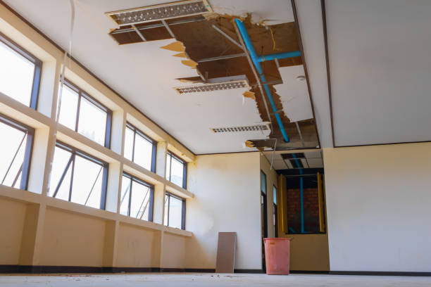 Best Water damage cleanup near me  in Yorktown, IN