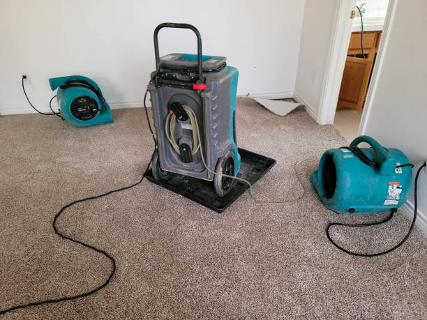 Best Sewage cleanup and water damage restoration  in Yorktown, IN
