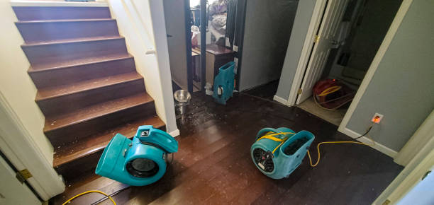 Water damage restoration experts in Yorktown, IN