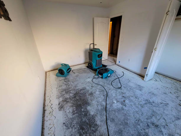  Yorktown, IN Water damage restoration Pros