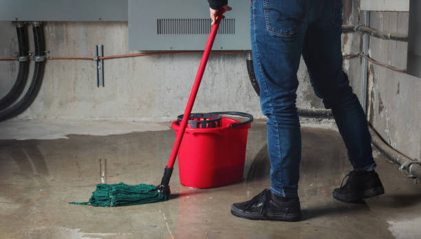Best Flood damage cleanup  in Yorktown, IN