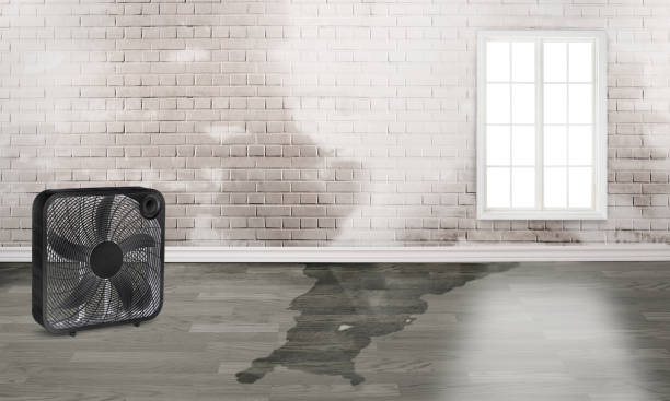 Best Fire Damage Restoration  in Yorktown, IN