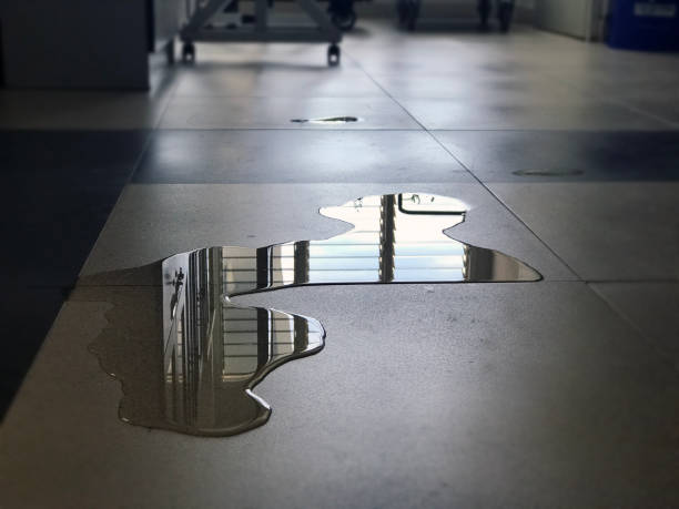 Best Water damage repair service  in Yorktown, IN