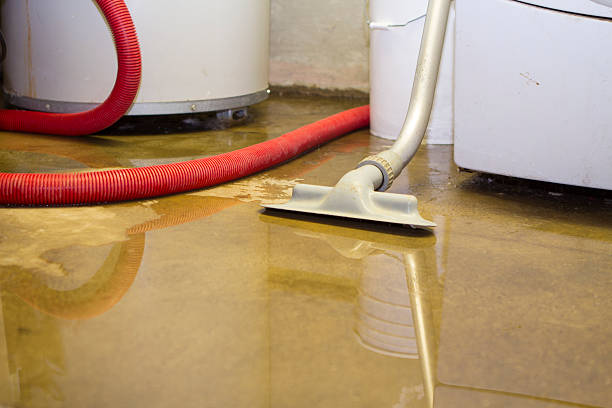 Best Flooded house restoration  in Yorktown, IN