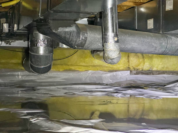 Best Mold removal after water damage  in Yorktown, IN