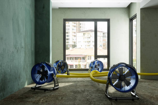 Best 24/7 water damage repair  in Yorktown, IN